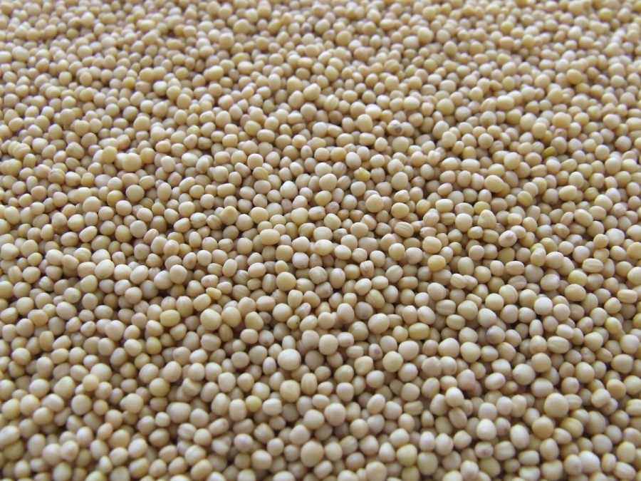 Амарантовая крупа