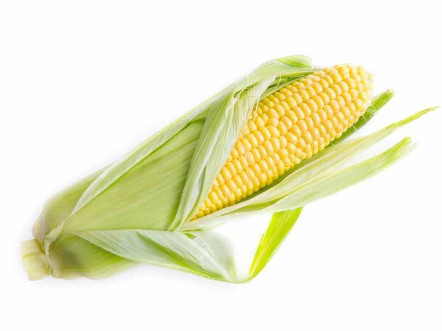 Кукуруза (початок)